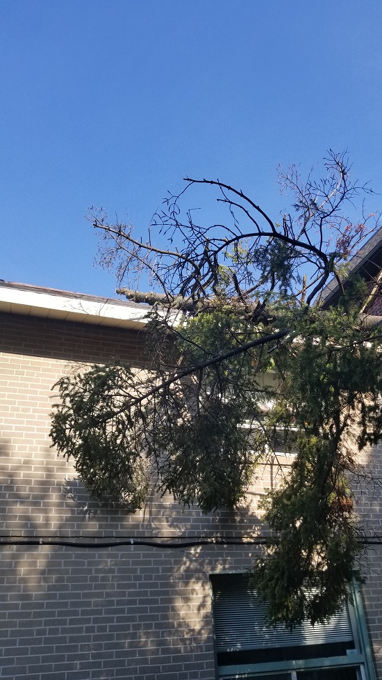 Storm Response Before